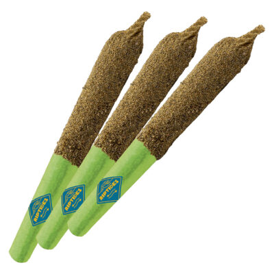 Riptides - Frozen Orchard Infused Pre-roll