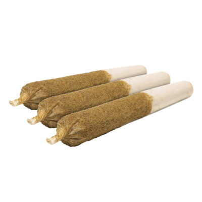 General Admission - Tiger Blood Distillate Infused Pre-Roll