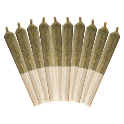 Buddy Blooms - Purple Haze Pre-Roll