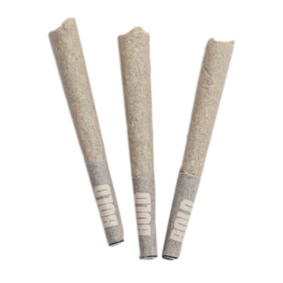 BOLD - Root Beer Float Pre-Roll