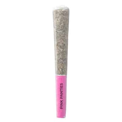 Pistol and Paris - Pink Panties Pre-Roll