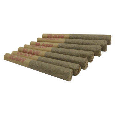 Common Ground - Gazzurple Pre-Roll