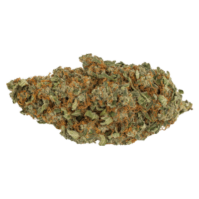 The Loud Plug Venom OG