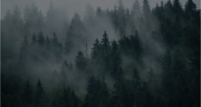 Cova age gate background