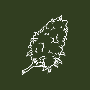 Cannabis Flower