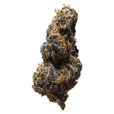 3rd Coast Genetics - Black Cheese
