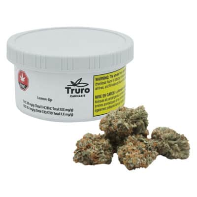 Truro - Lemon-Up