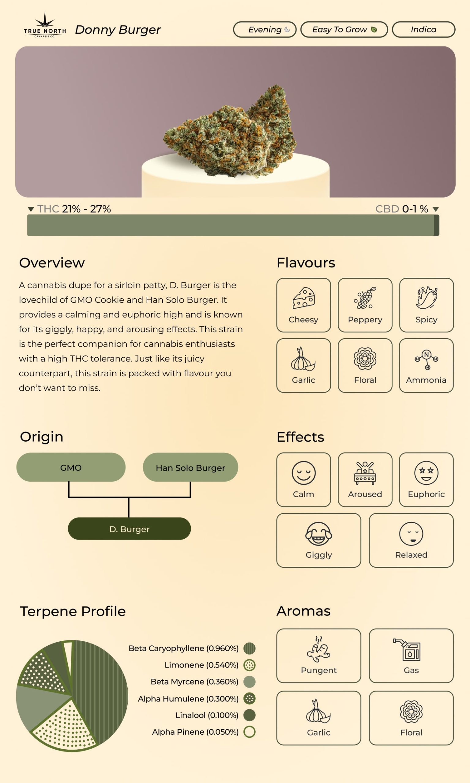  A custom infographic depicting D Burger Fraser Valley strain info 