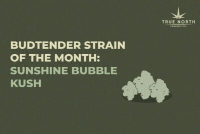 FIGR Sunshine Bubble Kush strain