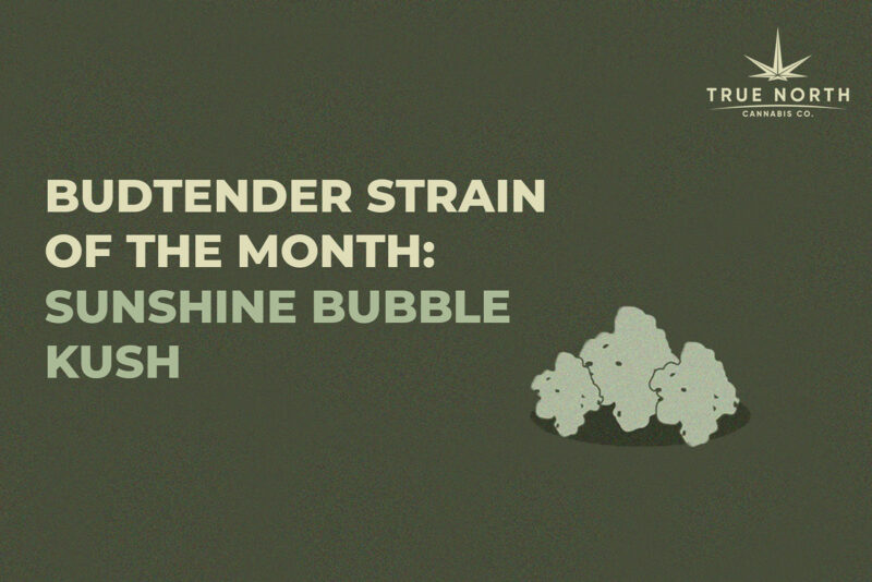 FIGR Sunshine Bubble Kush strain