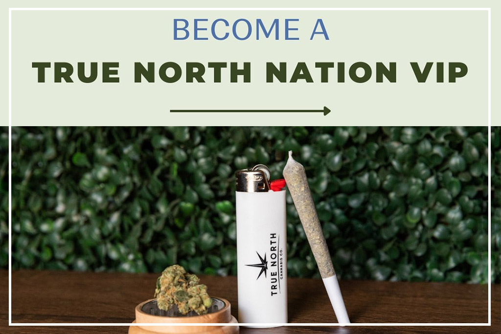 True North Cannabis Co. products and a CTA to become a VIP member