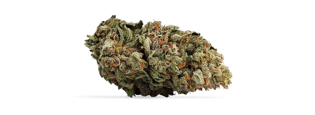 Puffing Season strain