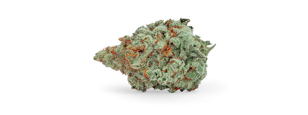 Organic Gold Butter strain