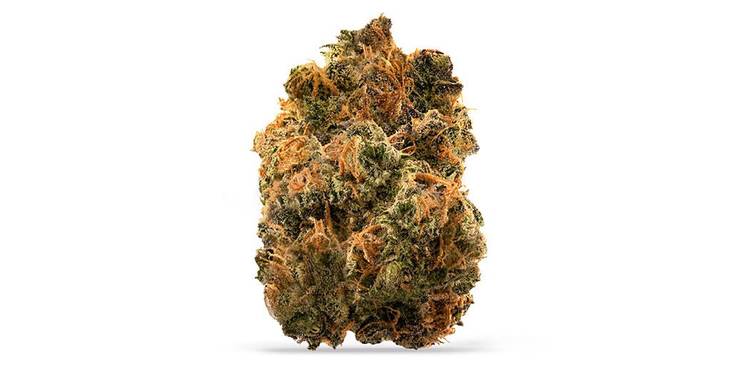 Dancehall strain