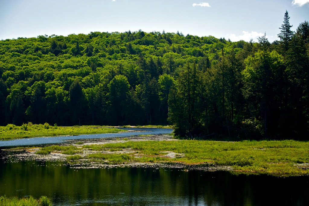 Algonquin Provincial Park