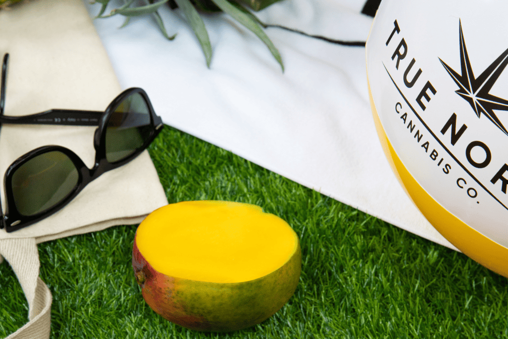  A True North Cannabis Co. beach ball, mango, and sunglasses