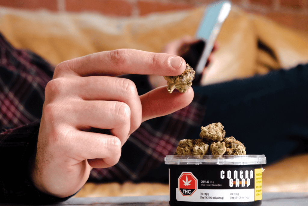 A person on their phone while holding a cannabis bud