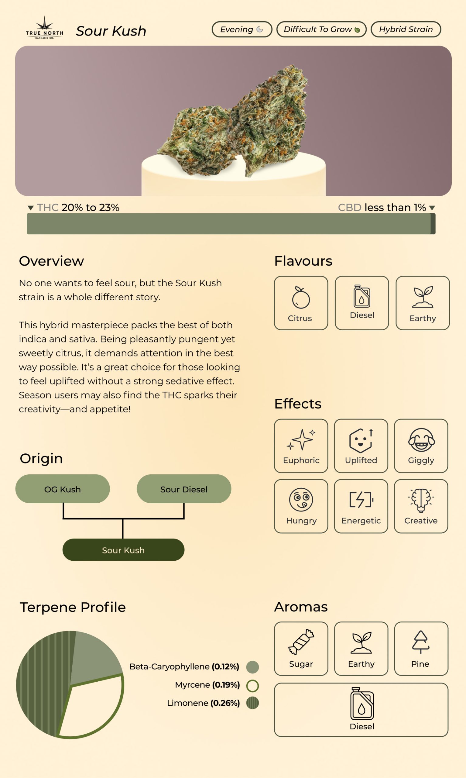 Sour Kush strain infographic