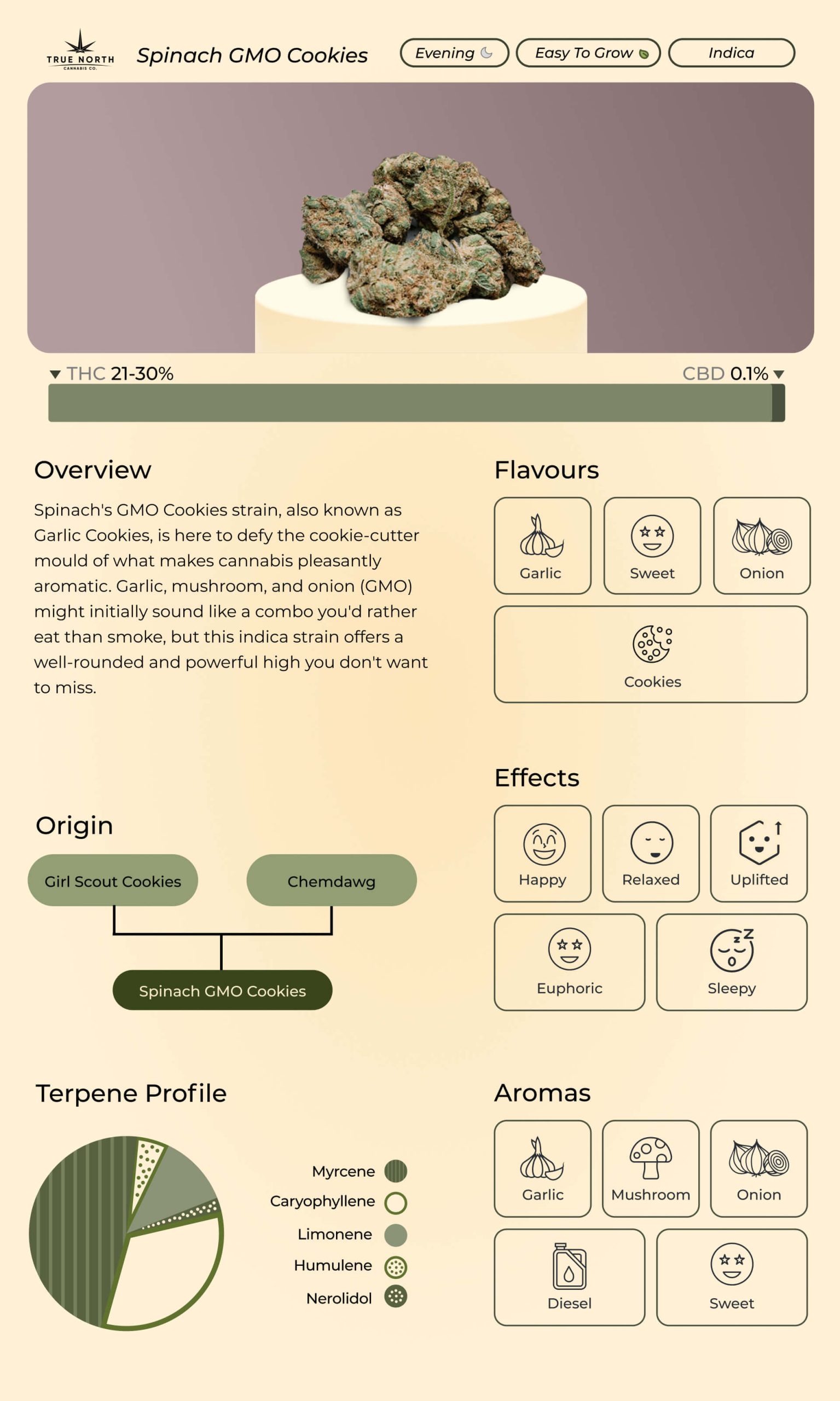  An infographic depicting the GMO Cookies weed strain profile, including its aroma, flavours, genetics, and terpenes 