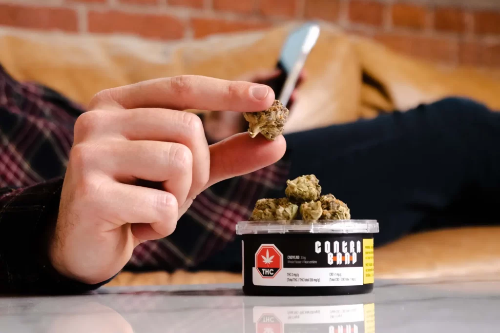 Person on a couch holding up a bud of cannabis 