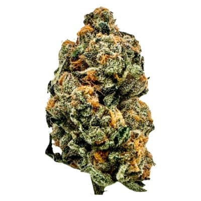TICAL - The Method - Hybrid Flower