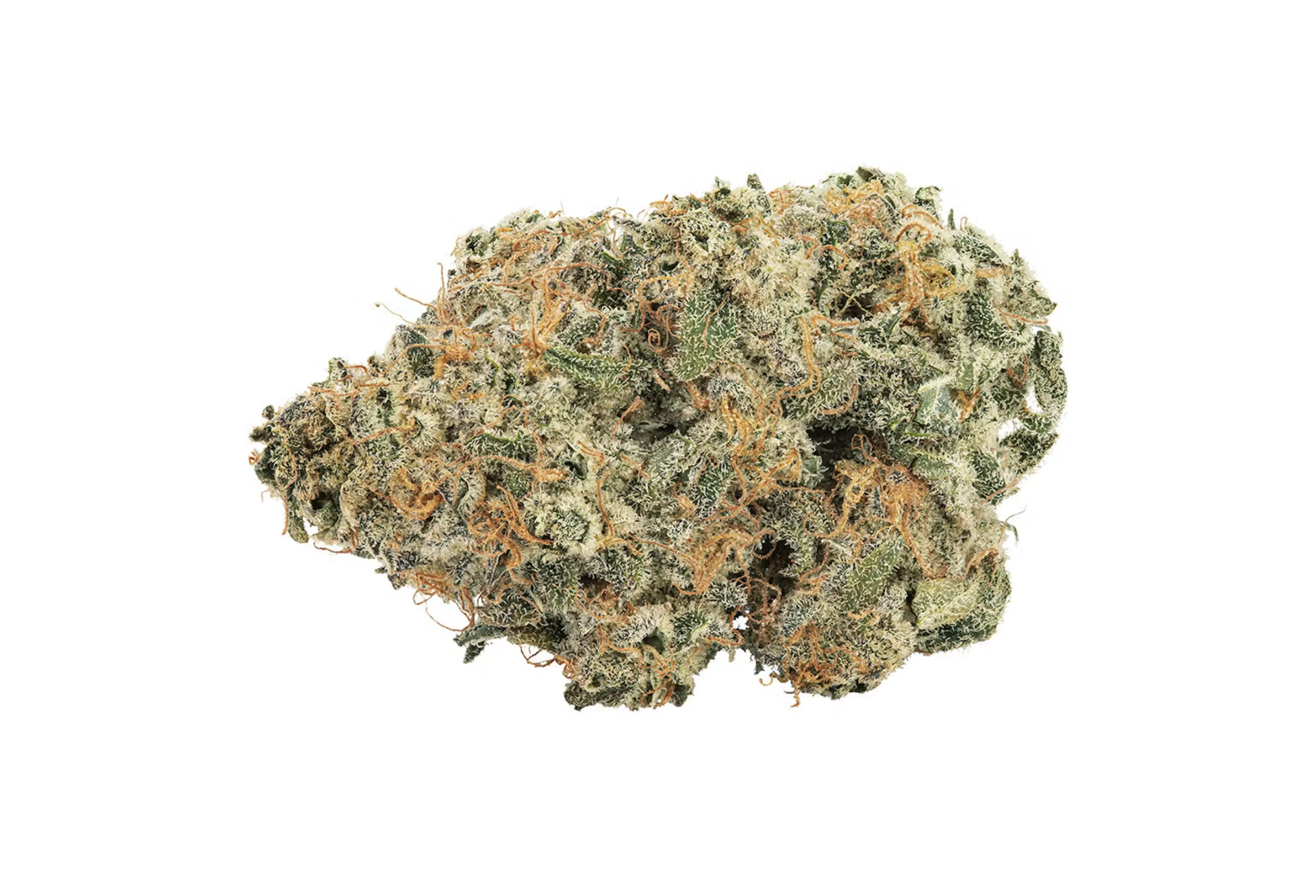 A bud of the Purple Punch-Out cannabis strain by Holy Mountain