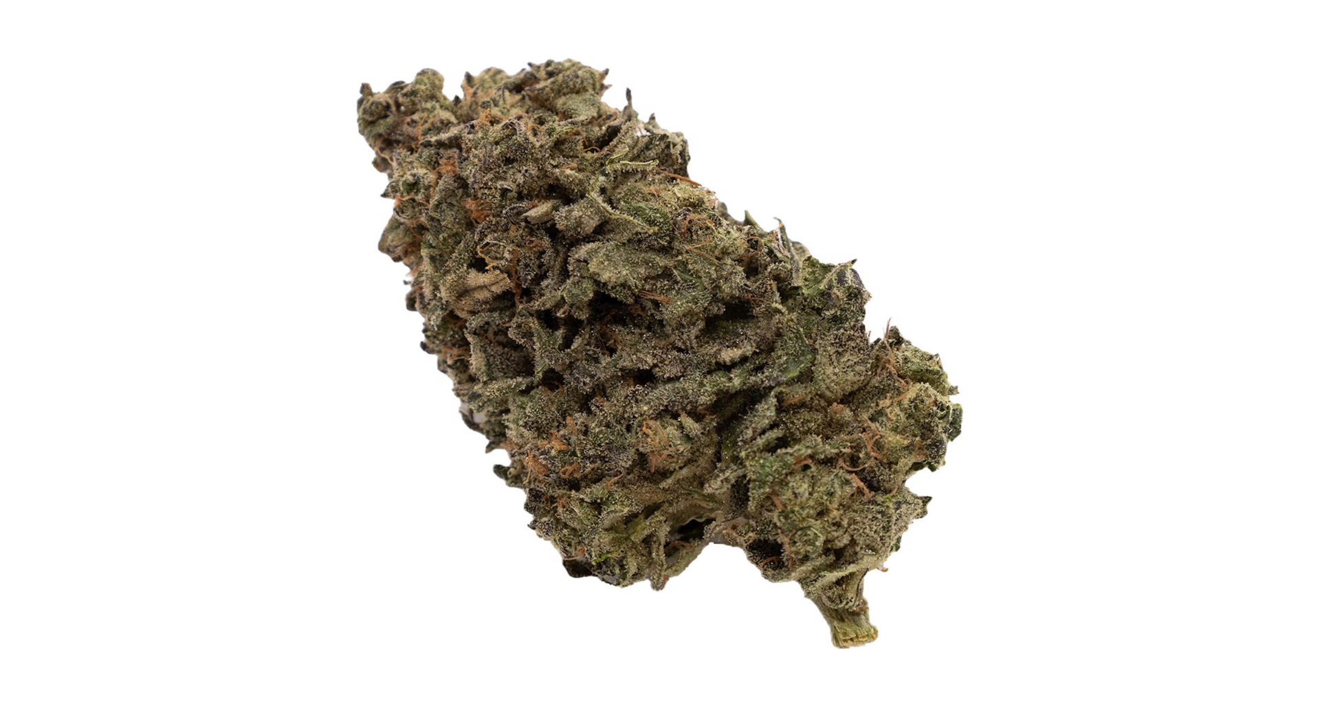A closeup bud of Jungle Fumes flower from FIGR