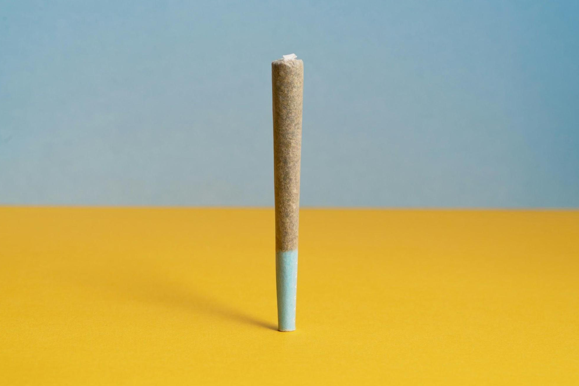 A single joint standing on its end