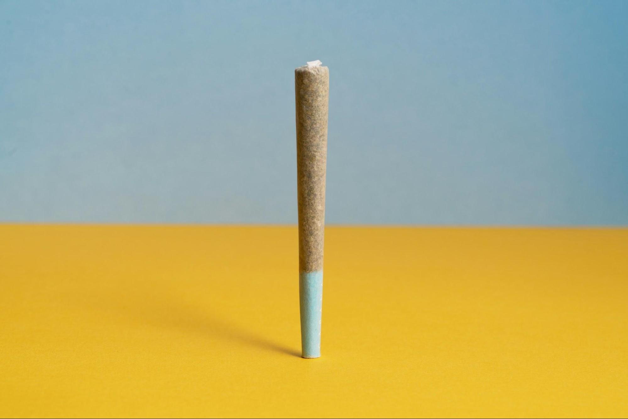 A cannabis pre roll joint standing on its tip