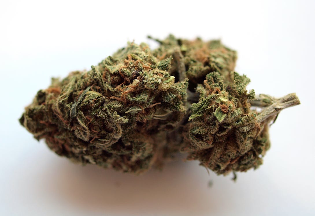 A single High Quality 50/50 Hybrid Cannabis Bud