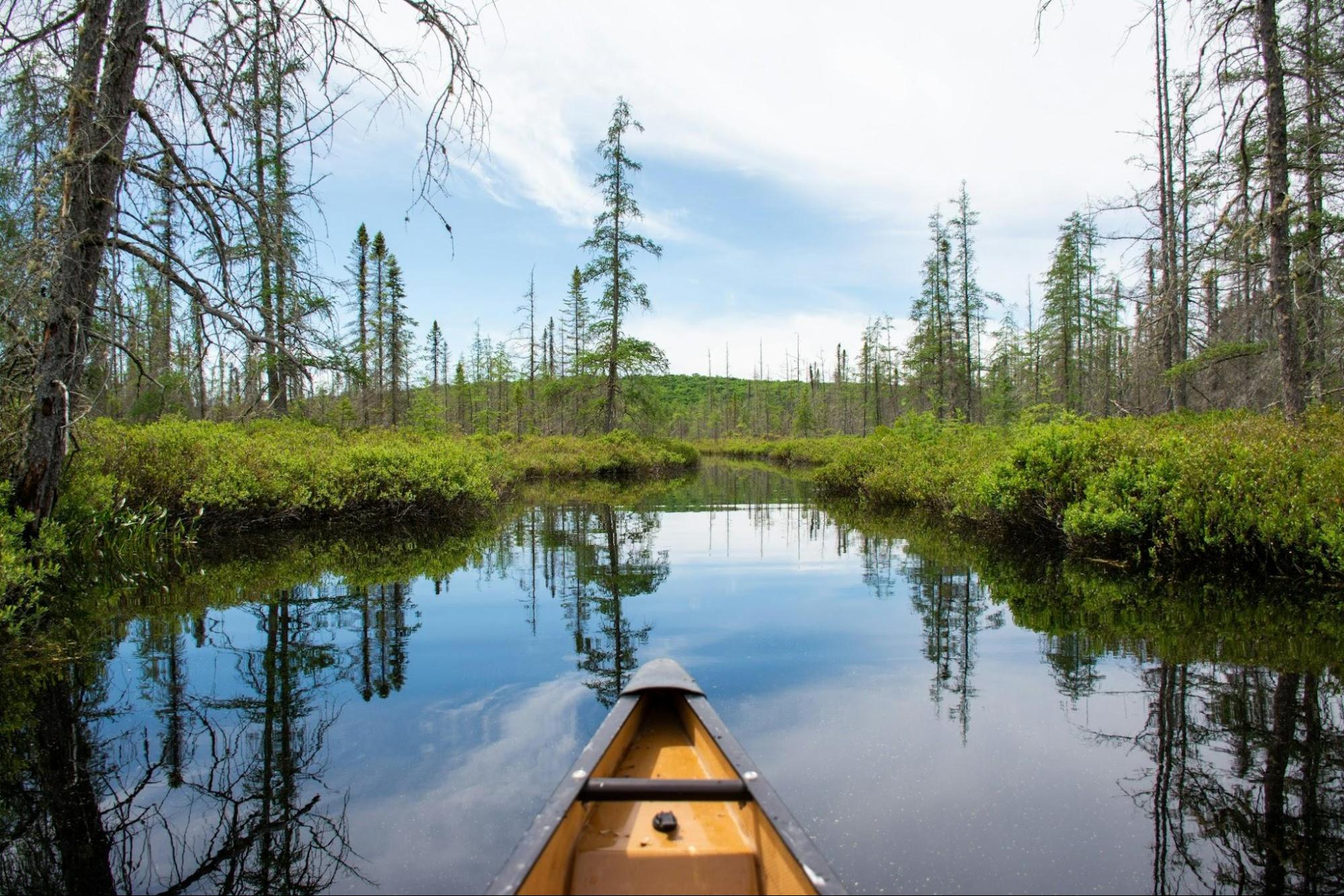 A canoe on some calm water in Algonquin Park