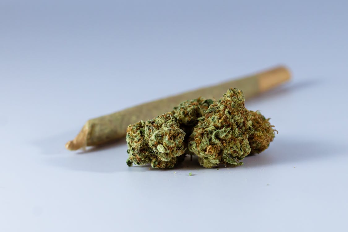 A couple Hybrid Cannabis Buds and Rolled Joint