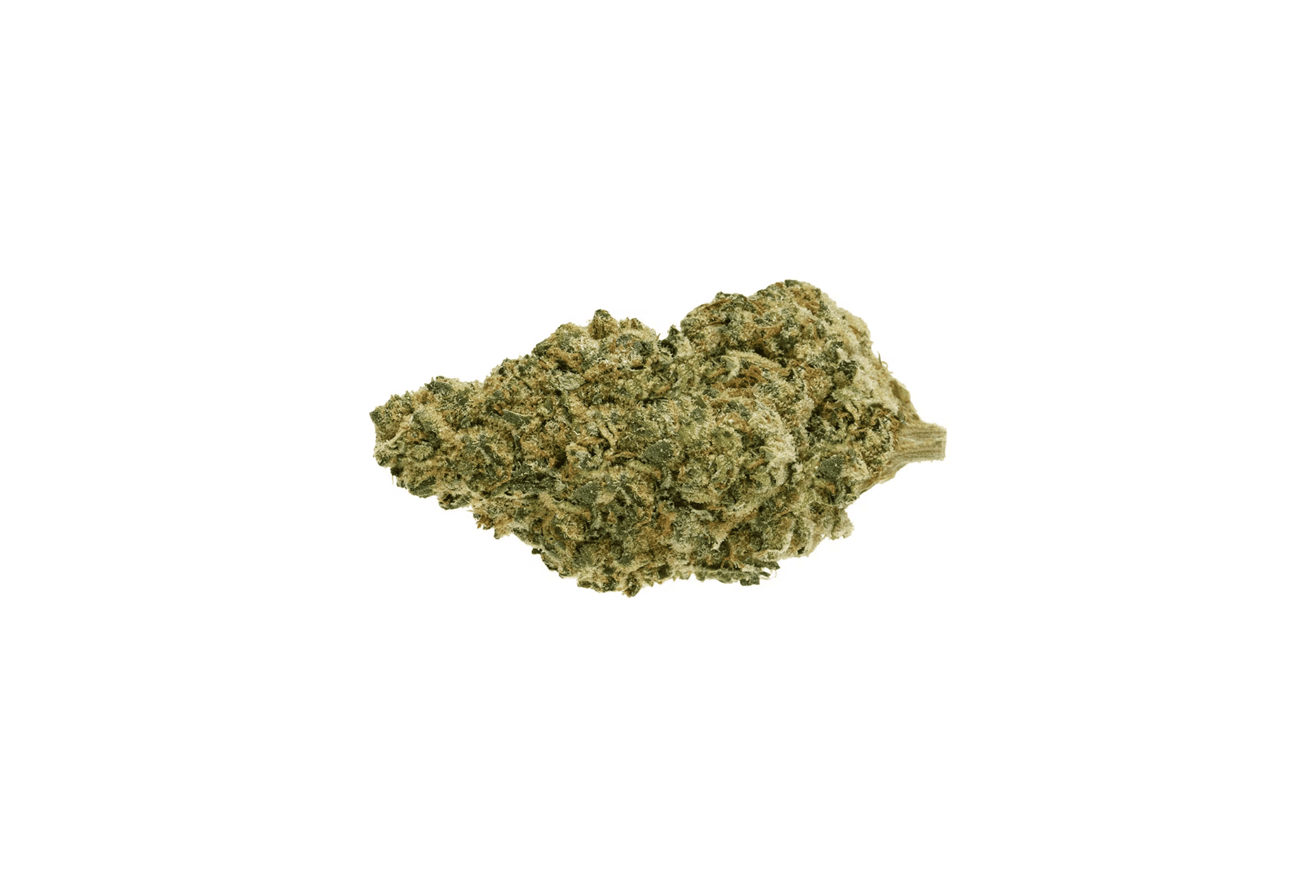 A closeup of Pure Sunfarms UFO Cookies flower