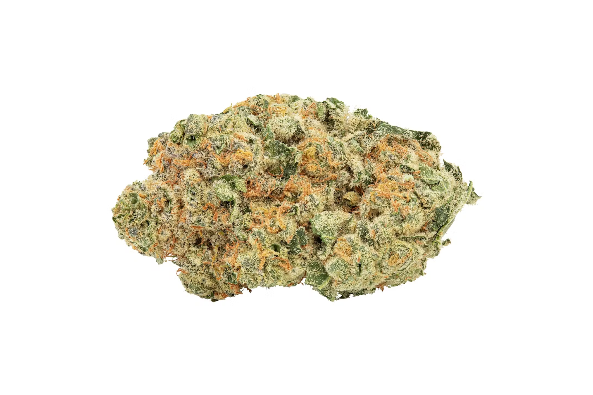 A bud of the Midnight M’Mosa strain by Holy Mountain