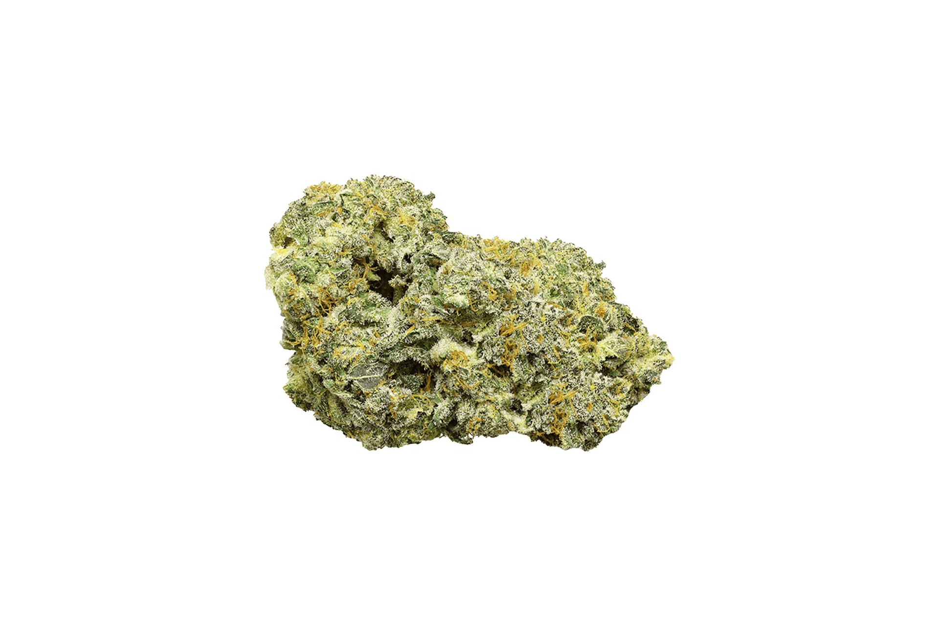 A cannabis bud of Zip Wookie Breath