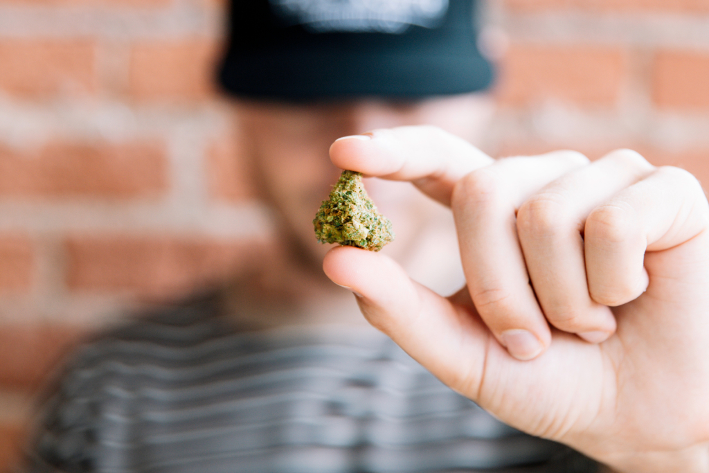  A person holding a cannabis bud between their thumb and index finger 