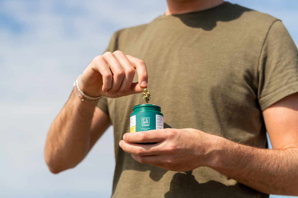 a person grabbing a bud of Black Cherry Punch out of a container