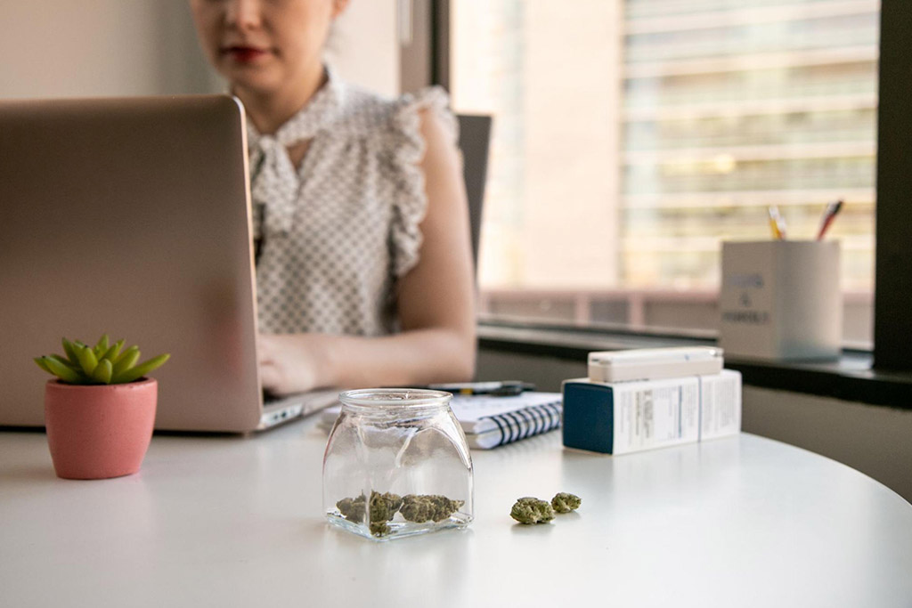 Female cannabis entrepreneur working with laptop in a bright, soft-lit office