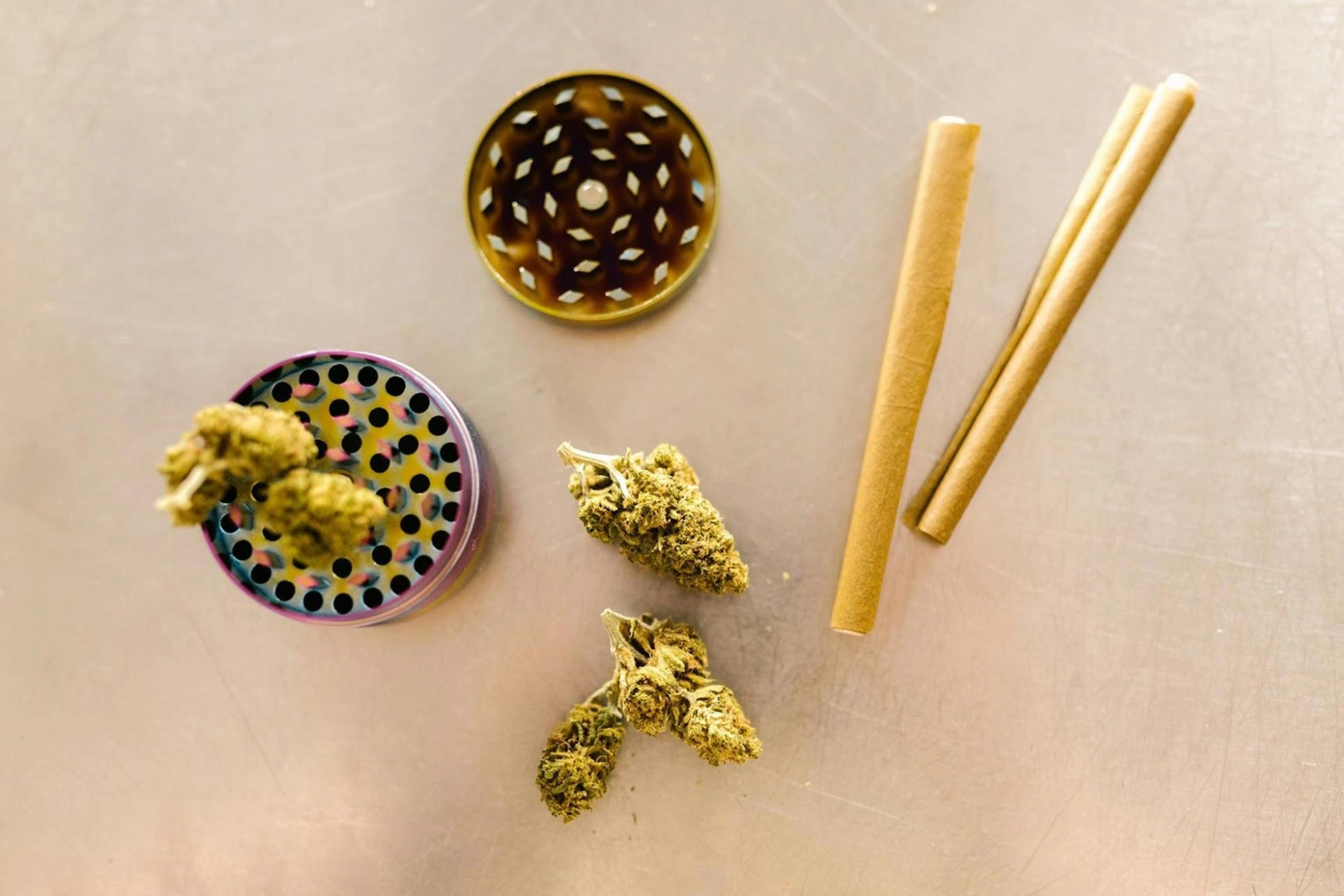 Close-up of a cannabis plant beside an open metal grinder on a table