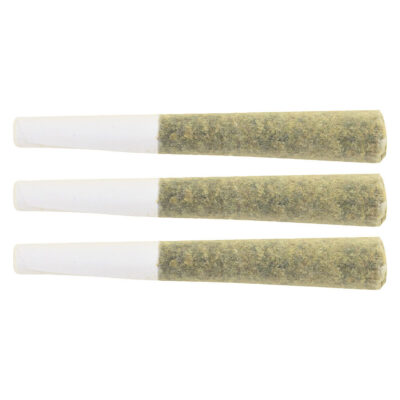 The Loud Plug - Waffle Cone Pre-Roll