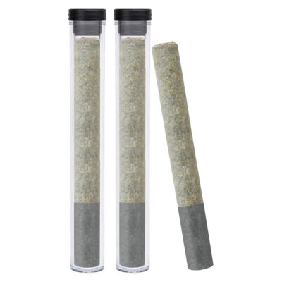 Dazed & Infused - Diesel Orchid Infused Pre-Roll
