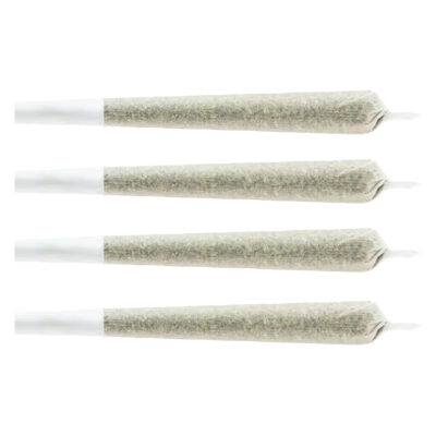 CHUB'S - Snack Pack - Sativa Pre-Roll