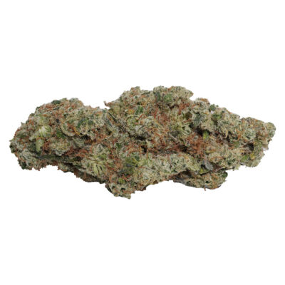 Always Toasted - OG Dutch Dragon