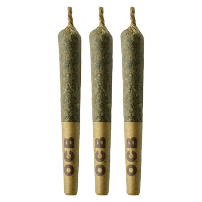 Coterie - Strawberry Gary Pre-Roll