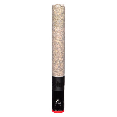 BLKMKT - The Magnum Pre-Roll