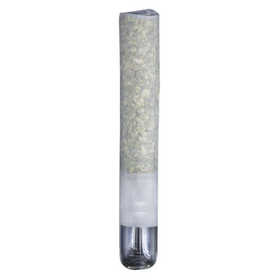 Northern Canna - The Collective Infused Pre-Roll