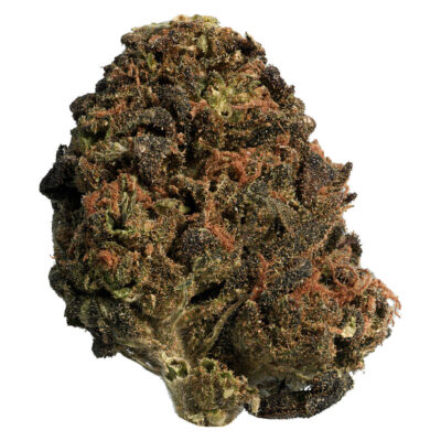 Big Steal - BC Organic Sungrown Mango Sapphire