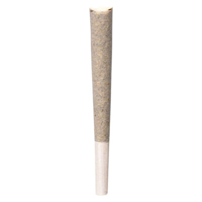 BLKMKT - Rainbow P Pre-Roll