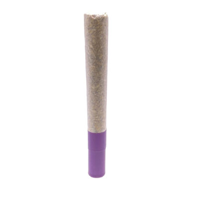 HighXotic - G.S.P (Gas S'il vous Plaît) Ice Water Hash Infused Pre-Roll