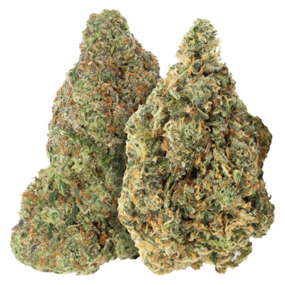 Carmel - Two Pack: Bubblegum Marker & Red Bullz